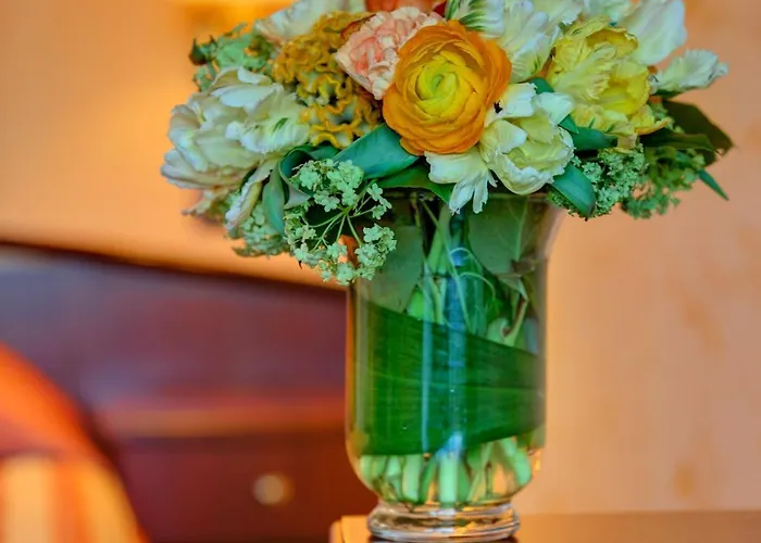 מלון Capitol וארנה